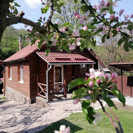 Зачаровані Карпати, Воловець Exterior foto